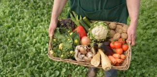 Agricultura ecologica