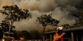 Dezastru natural in Australia. Urmarile si pagubele incendiilor