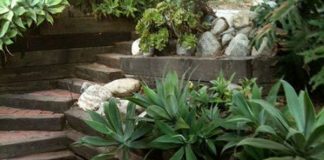 Cum sa aratam bine cu ajutorul plantelor