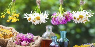 Cum sa ne vindecam cu ajutorul plantelor si al uleiurilor esentiale