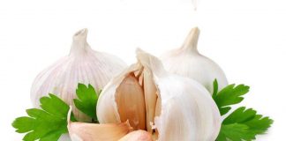 Usturoiul si intrebuntarile acestuia