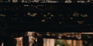 Stări emoționale prin care am trecut cu toții cel puțin o dată