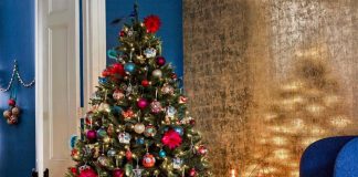 Motive pentru care sa optezi pentru un brad artificial in detrimentul unuia natural