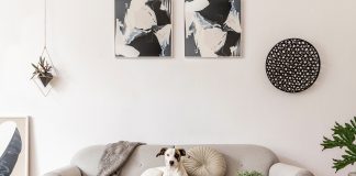 Greseli de decorare a casei pe care trebuie sa le eviti