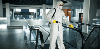 Invazii de șoareci sau alte dăunătoare în hoteluri și pensiuni – ce să faci?