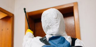 3 motive pentru care să apelezi la o firmă de deratizare și dezinfecție
