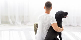 15 sfaturi pentru a depasi pierderea unui animal de companie