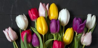 182 Mesaje De 8 Martie