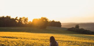 343 Citate Despre Viata Si Sentimente care sa te inspire in fiecare zi