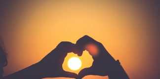 355 Citate De Dragoste Citate frumoase