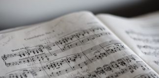 72 Citate Muzica Si Natura