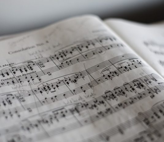 72 Citate Muzica Si Natura