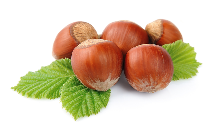 Lapte, cacao, alune si zahar...