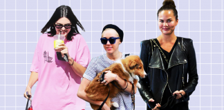 Cainii celebritatilor – relatia celebritatilor cu cainii lor