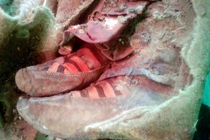 „Adidas” in cauza