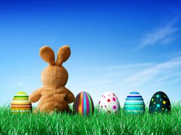 200+ Felicitari de Paste – Cele mai frumoase mesaje de trimis de Paste