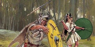 Velitele, unitatile romane de lupta