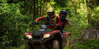 Toamna se numara… angajatii: iata de ce sa pregatesti de acum un teambuilding la munte!