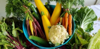 Alimente bogate in fibre si cum sa le adaugi in dieta ta zilnica