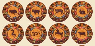 Cele 12 semne de astrologie chinezeasca si ce inseamna ele pentru tine