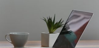 Jocuri ca la cazino sau sloturi online