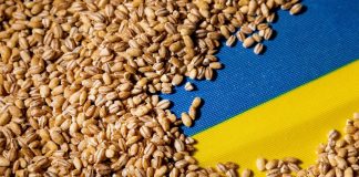 Atacul Rusiei asupra portului de cereale a dus din nou la o crestere a preturilor la nivel mondial