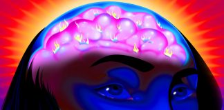 Ce este dopamina si cum ne afecteaza comportamentul?