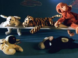 Cum s-a incheiat nebunia Beanie Baby