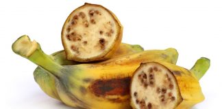 Cum se reproduc plantele cu fructe fara seminte?