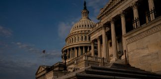 Degradarea datoriilor lui Fitch este putin probabil sa descurajeze imprumuturile