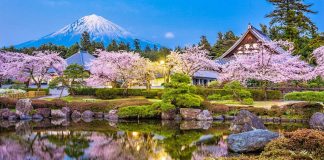 Top 10 lucruri de facut in Japonia