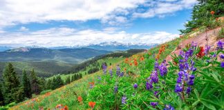 Weekend in Vail: un sejur la The Hythe, un complex de lux Collection