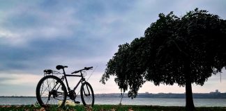 Activități recreative perfecte pentru toamnă (P)