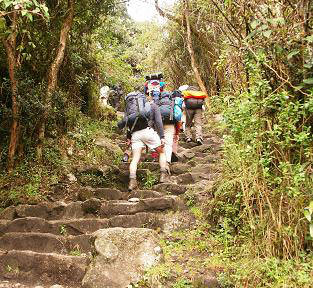 Inca Trail