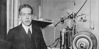 Niels Bohr | 10 fapte despre faimosul om de stiinta danez