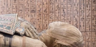10 fapte interesante despre procesul de mumificare